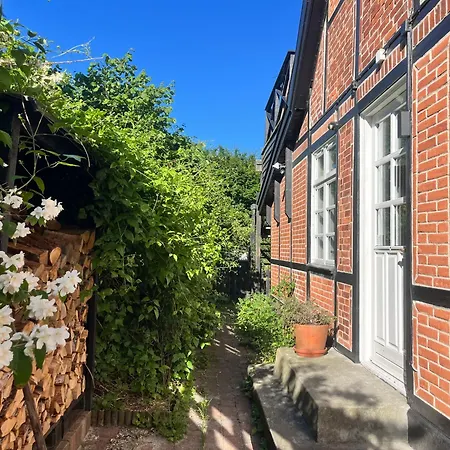 With Garden, Free Parking & 5 Min From Train 別荘